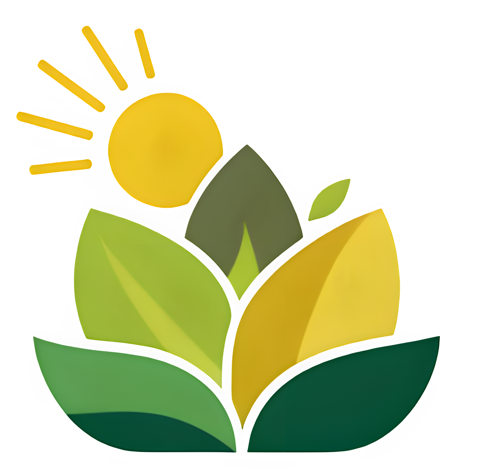 a821a5b4 01f5 4355 b4e4 55ffdccfad441 jo