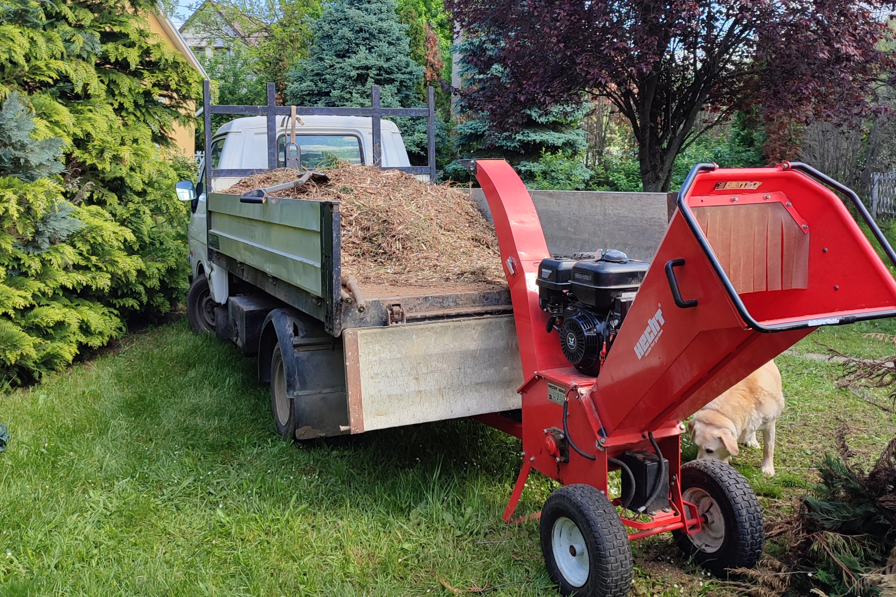 img 20250509 103d112